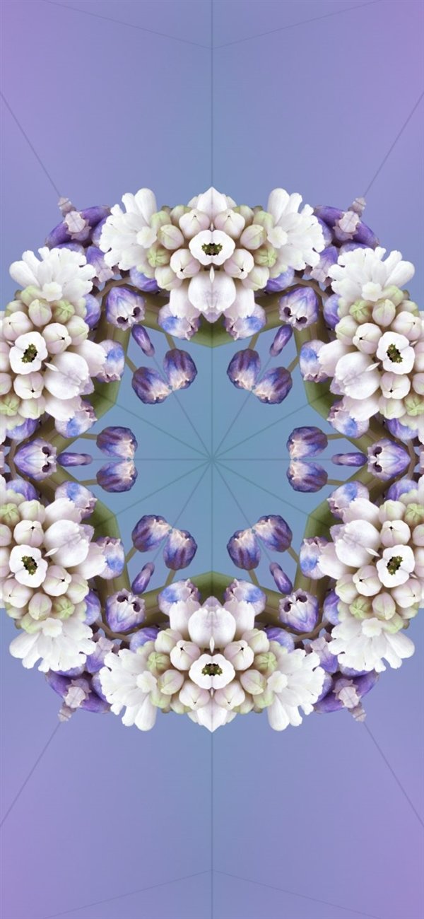 提前感受iPhone 15!iOS 17全新壁纸免费下载