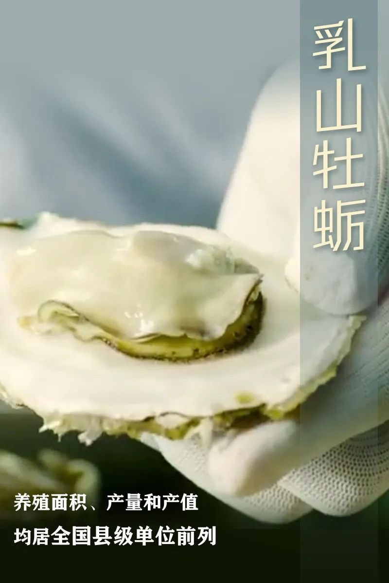 瞭望&middot;治国理政纪事丨乡村振兴齐鲁样板