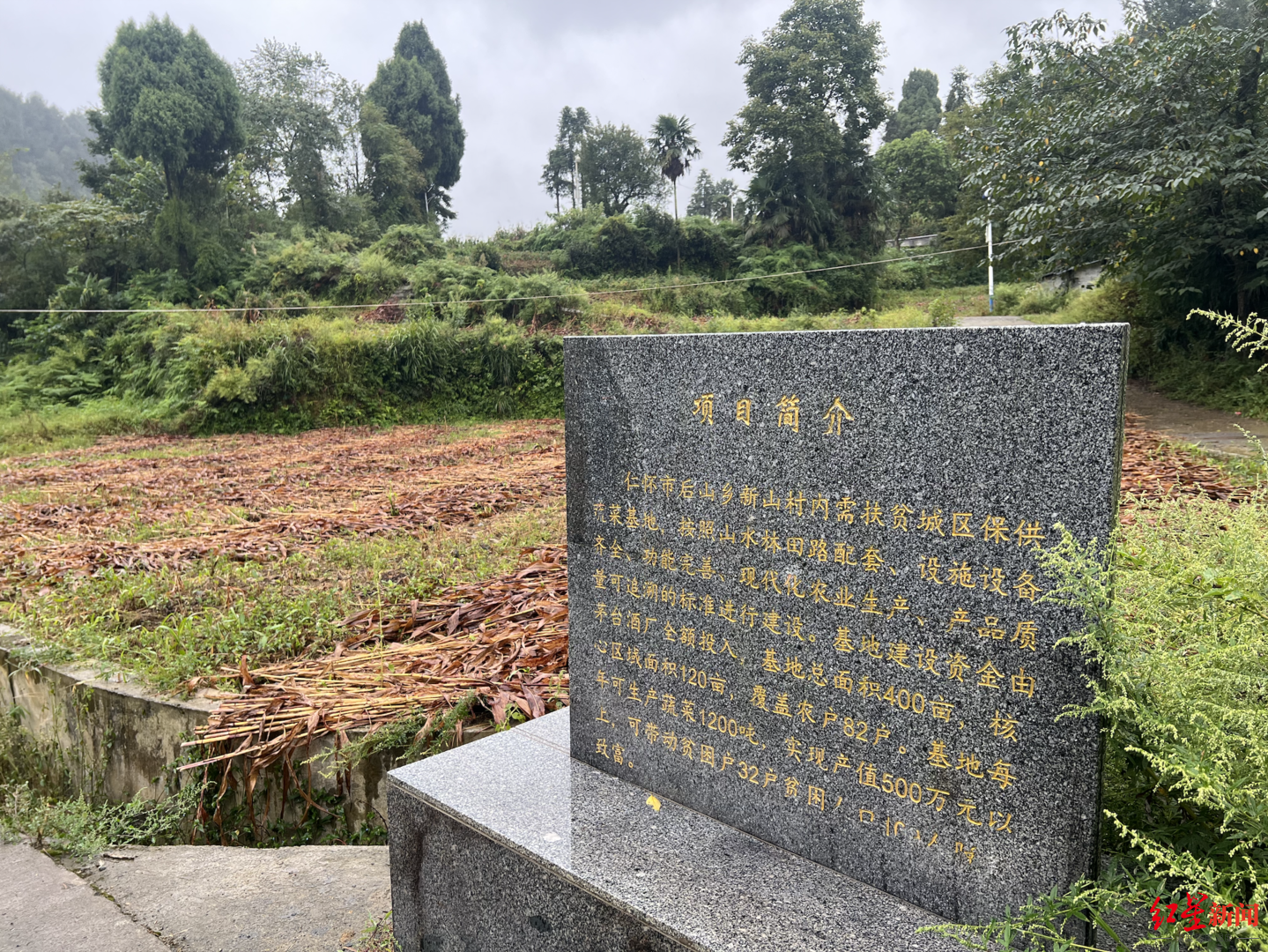 袁仁国老屋附近，茅台酒厂出资的保供蔬菜基地 图：冯泽洋摄