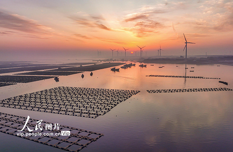 2023年3月19日,在山东省荣成市桑沟湾海洋牧场,远处的风力发电机在运转工作。