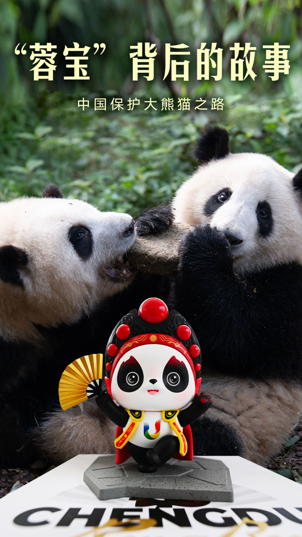 “蓉宝”背后的故事——中国保护大熊猫之路
