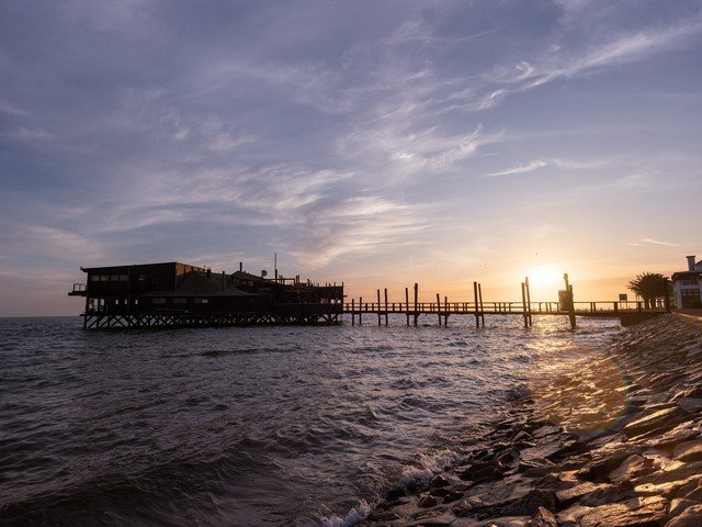 画质超越全幅机型 富士中画幅相机GFX 50S II非洲之旅