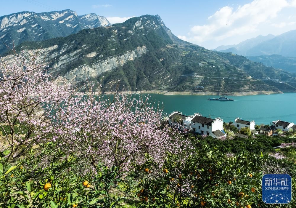 ↑这是三峡库区宜昌市秭归县西陵峡村景色（3月13日摄）。