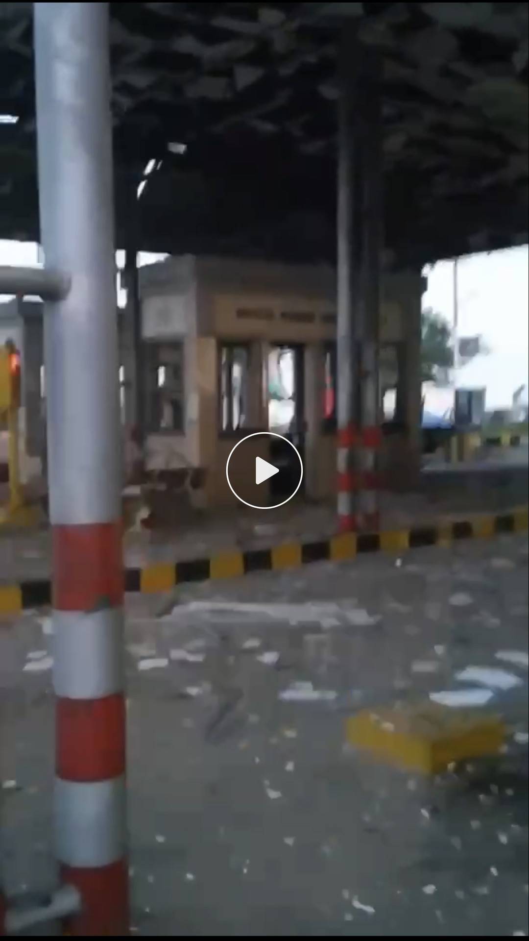 图片由受访者提供