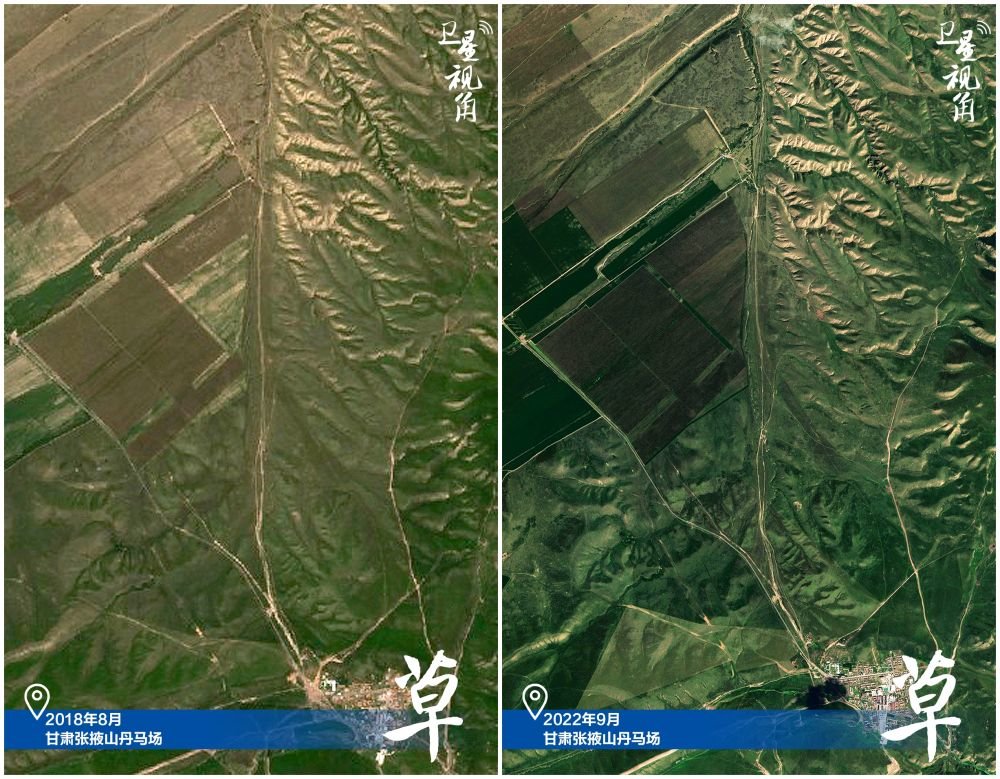 ↑2022年跟2018年相比，山丹马场草场植被盖度显著提高。