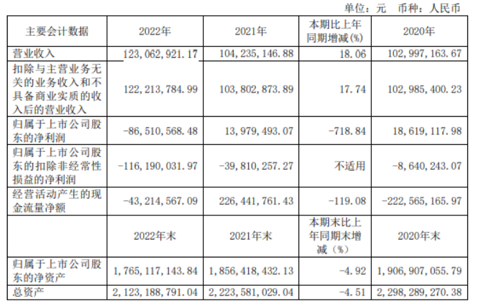 中国高科2022年营收1.23亿 总经理（代）朱怡然薪酬171.02万