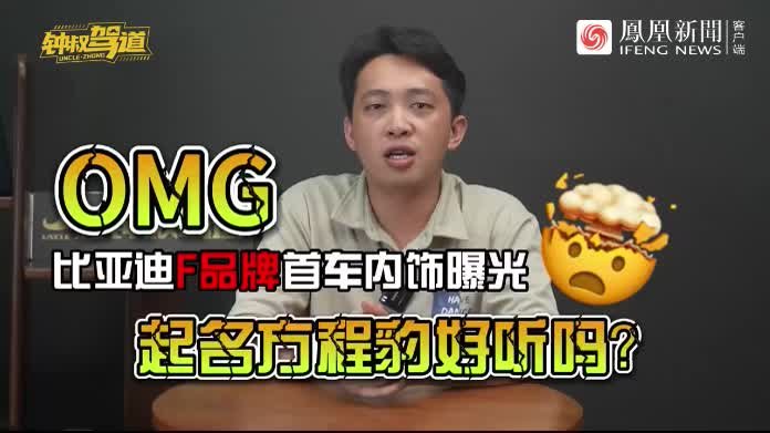 比亚迪F品牌首车内饰曝光，起名方程豹好听吗？