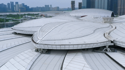 动图来源：钱江晚报