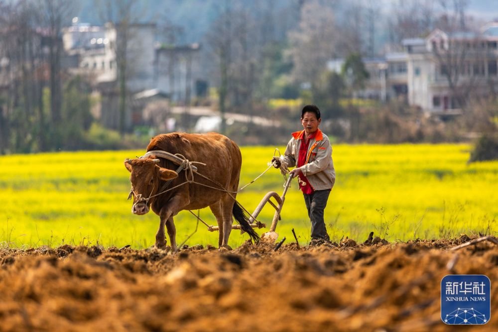 凤凰网首页88152月27日,湖南省常宁市西岭镇六图村农民行走在前往