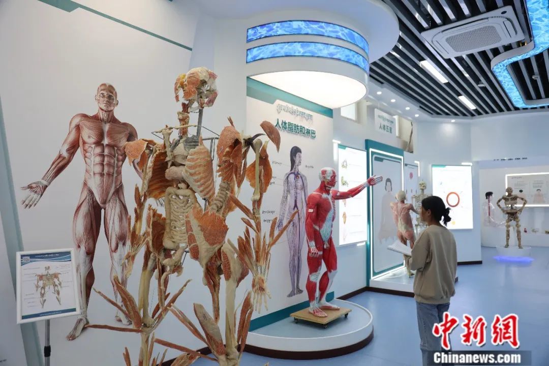 东西问丨普措多杰:千年藏医人体学与现代解剖学为何异曲同工?_凤凰网