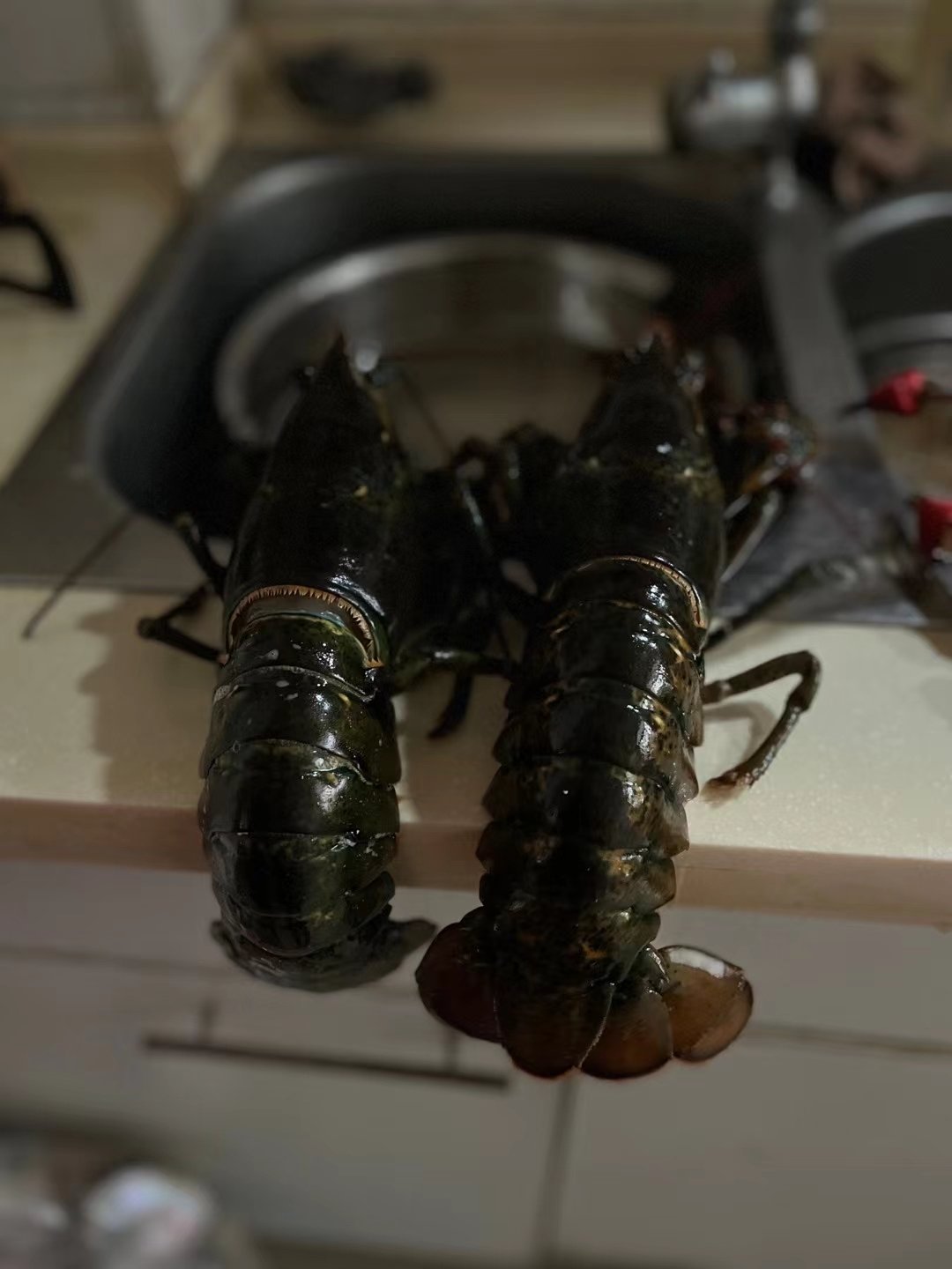 颜奕回家后,吃饭不再“对付”。