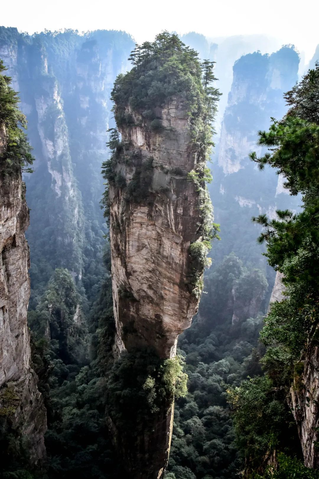 张家界的《阿凡达》悬浮山(乾坤柱)。(图/unsplash)