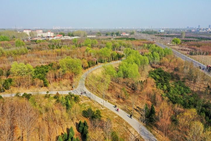 这是雄安新区千年秀林（2023年3月30日摄，无人机照片）。新华社记者 牟宇 摄