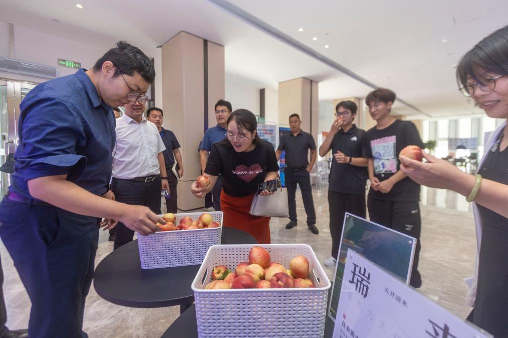 徐子健与同事一道，招呼出入大厦的人们一起品尝鲜桃。（新华社发）