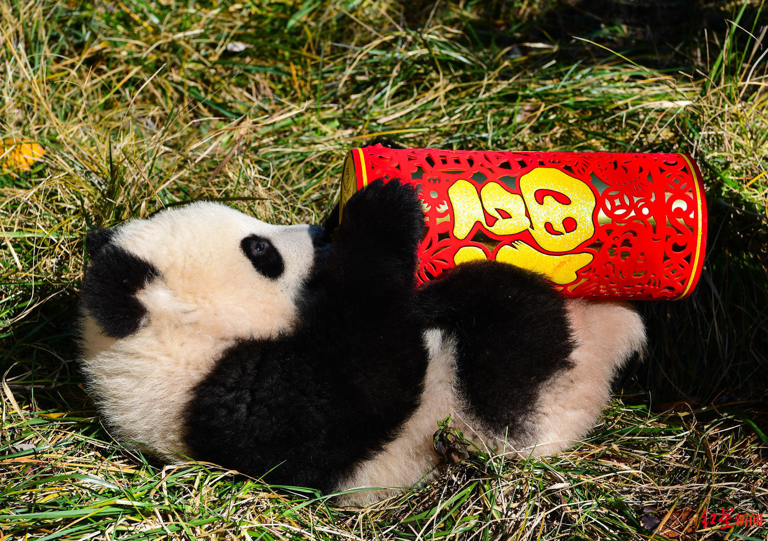 WeChat Image_20230118154350.jpg