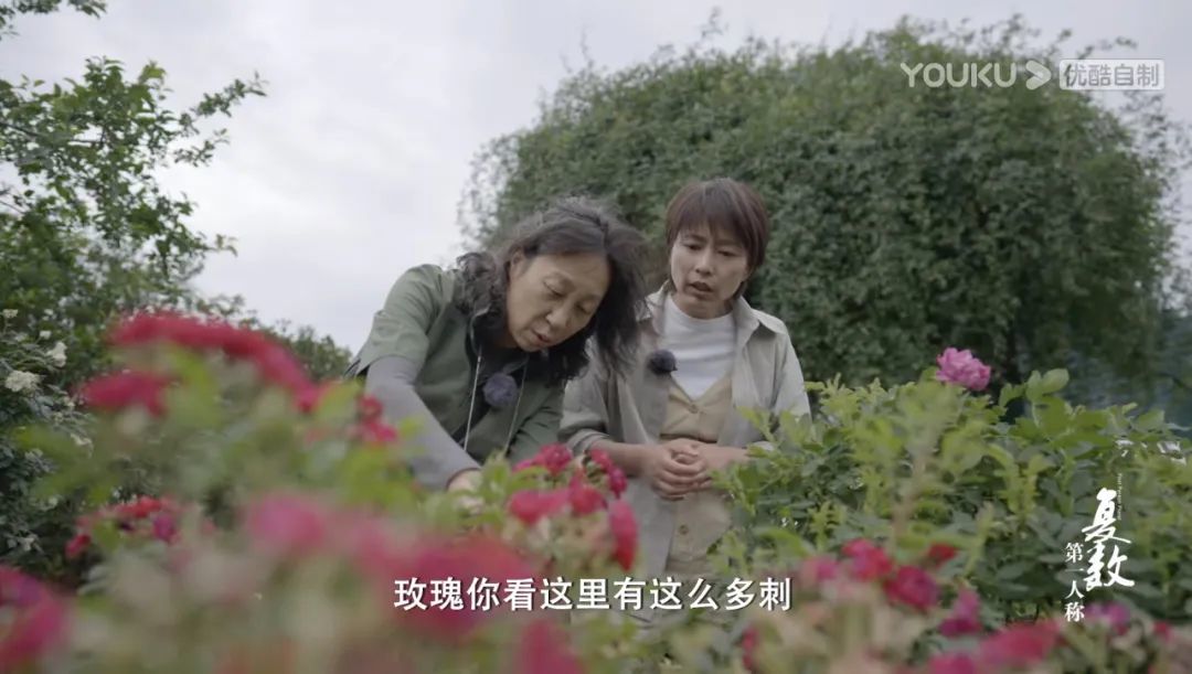 第五期《自然律》，周轶君和陈丹燕走进上海辰山植物园。