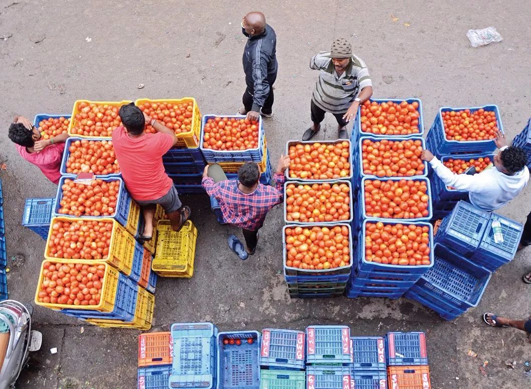7 月 12 日，西红柿商贩在印度班加罗尔街边等待顾客 新华社发