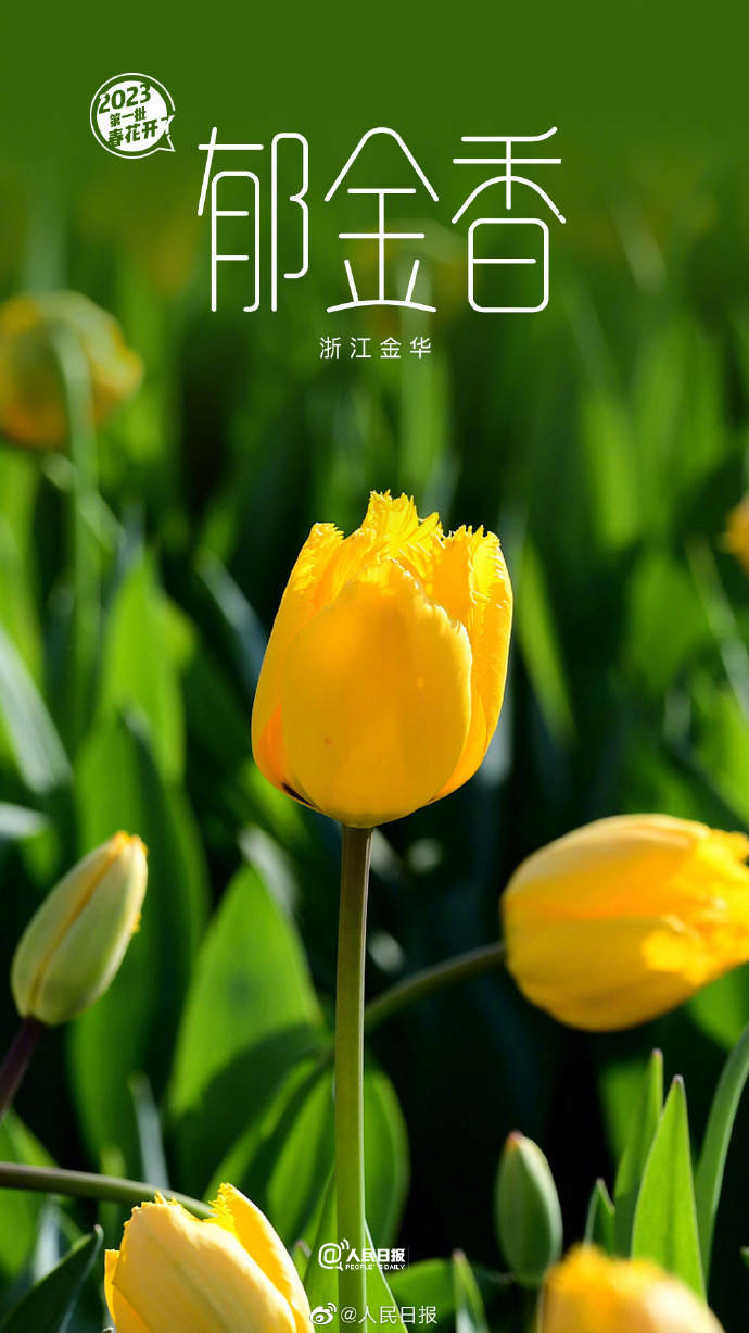 5.jpg?x-oss-process=style/w10