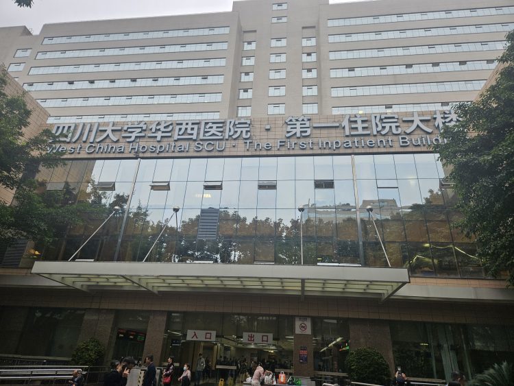 成都2岁女童被狗咬伤后筹款的截屏。网页截屏
