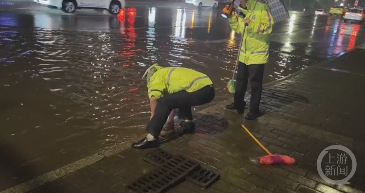 昨夜今晨暴雨中，那一抹亮绿的身影_凤凰网