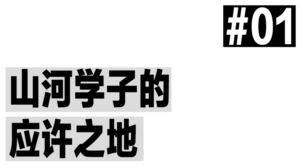 虛擬的山河大學(xué)與真實(shí)的教育困境