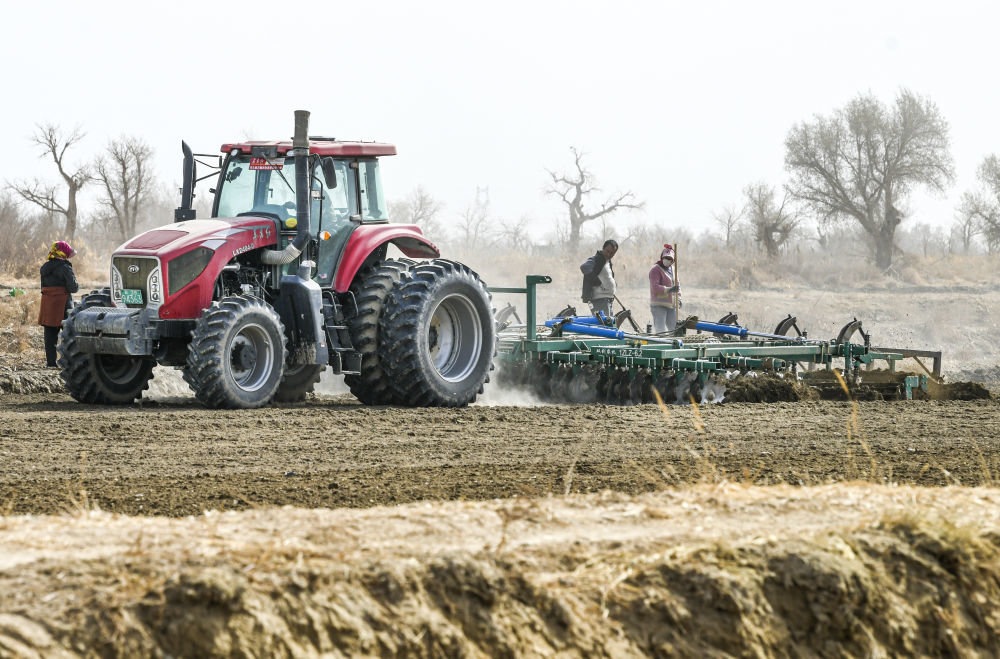 在新疆尉犁县,棉农驾驶拖拉机,进行棉花播种前的耙地工作(3月30日摄