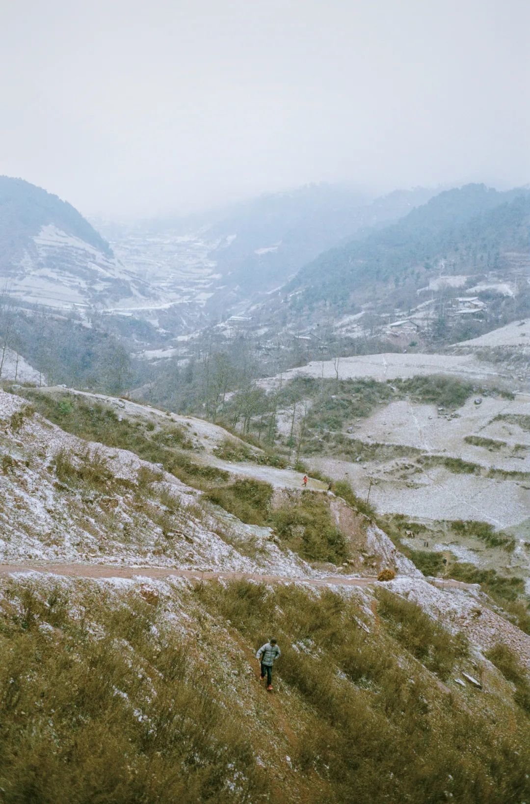 导演李维:从葬礼到婚礼,慢船去中国