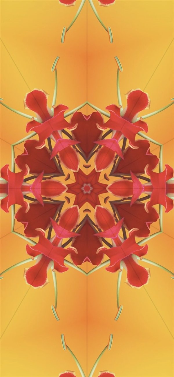 提前感受iPhone 15!iOS 17全新壁纸免费下载