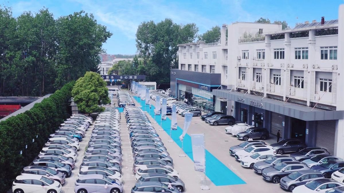 新出行助力新生活,上海华帆书豪“海豚百车交付”顺利落幕!