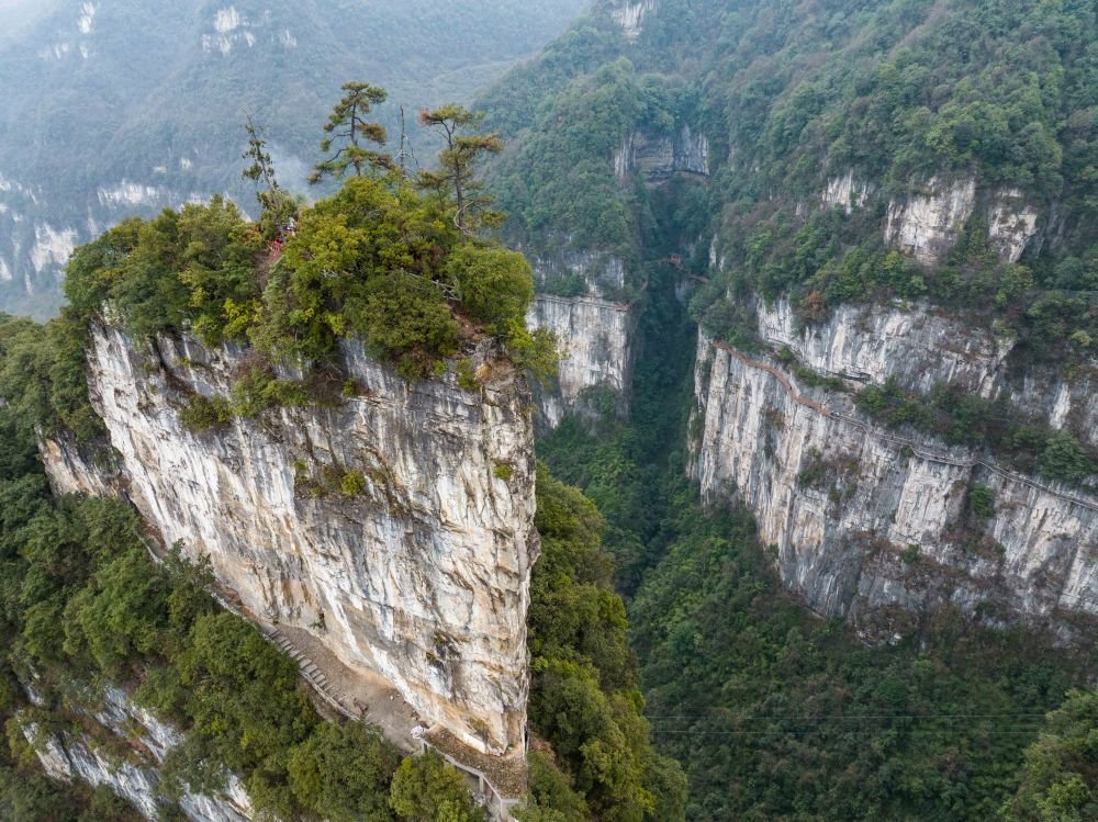 大方油杉河图片