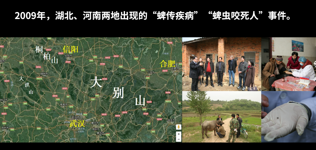 病毒学家张永振:未来5年还会不会出现新发突发传染病?可能规模不会像新冠这么大,但出现是必然