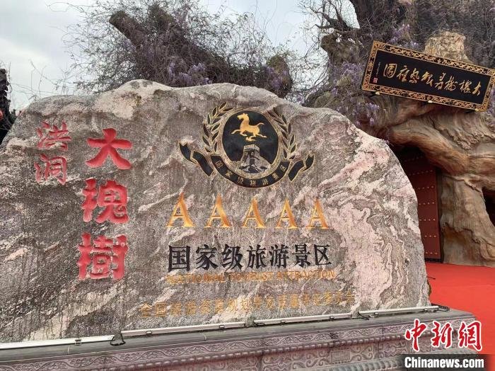 洪洞大槐树景区已成为全国以“寻根”和“祭祖”为主题的唯一民祭圣地。 刘小红 摄