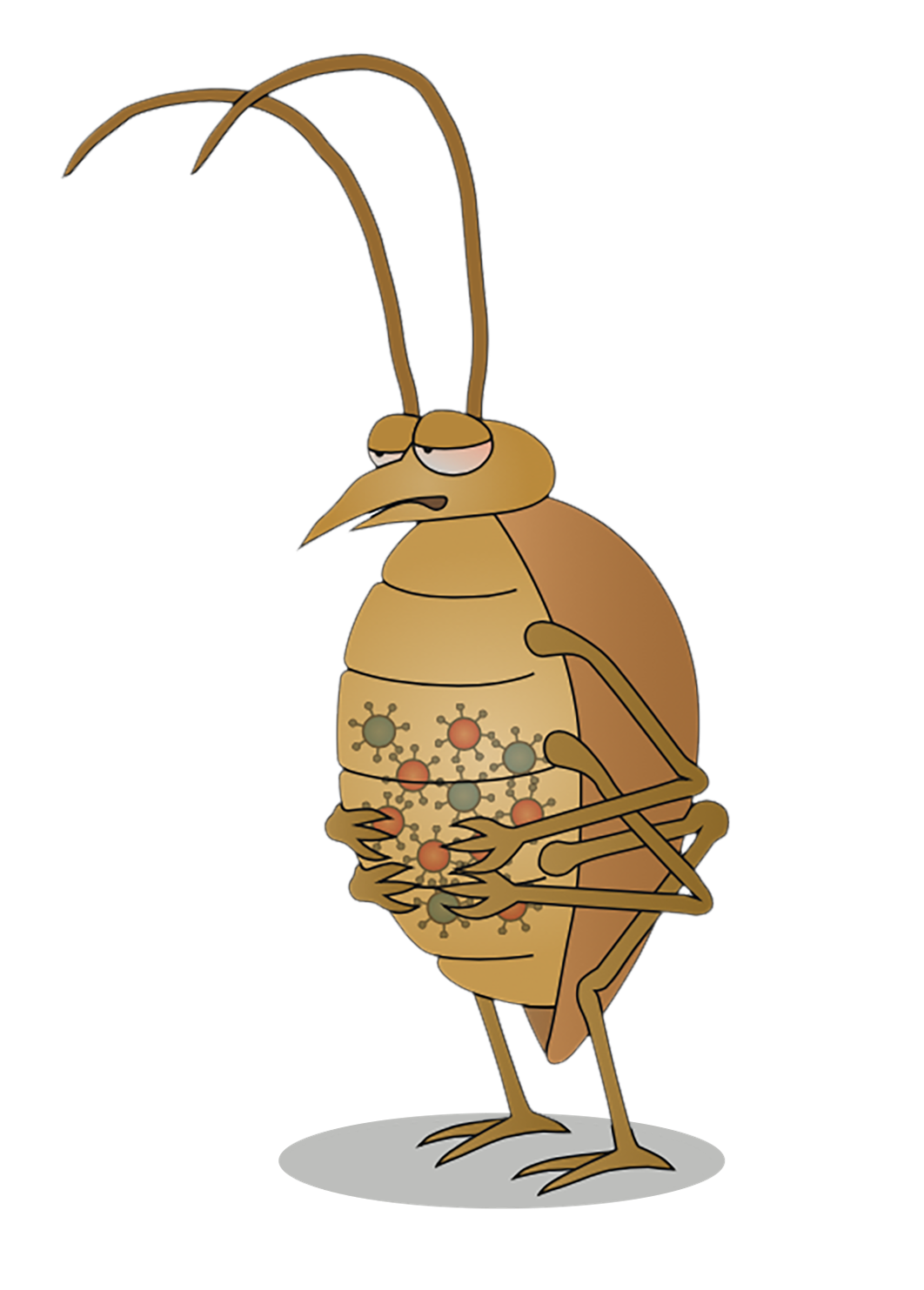 病毒学家张永振:未来5年还会不会出现新发突发传染病?可能规模不会像新冠这么大,但出现是必然