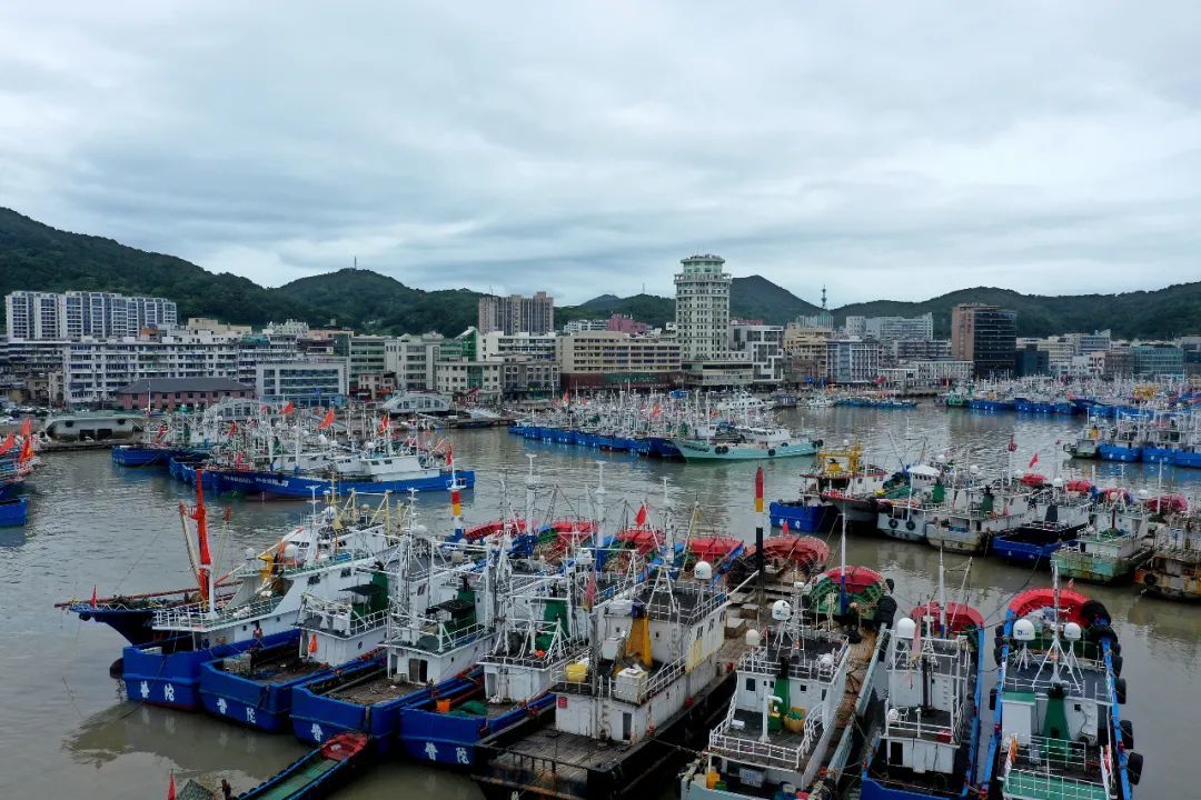 7月27日，舟山沈家门渔港内泊满了回港避风的渔船 图源：视觉中国