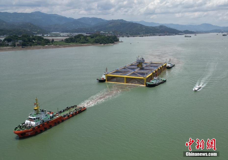 6月27日,中国最大的深远海半潜式养殖平台“宁德1号”在海巡0809和两艘拖轮的协助下,经过下白石公铁大桥水域、漳湾主航道,驶出宁德东冲口,于28日凌晨抵达霞浦四礵列岛指定水域。据了解,“宁德1号”是全国首座入级中国船级社(CCS)半潜式全框架深海养殖平台。平台总长120米,宽56米,箱体高度12.5米,养殖总容积为65000立方米。随着“宁德1号”大型深远海养殖平台顺利投放,未来可实现深远海养殖大黄鱼年总产值超过亿元,将推动福建深远海养殖业高质量发展。