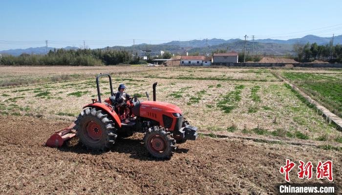 周丹驾驶耕地机进行翻地作业(无人机照片) 项菁 摄