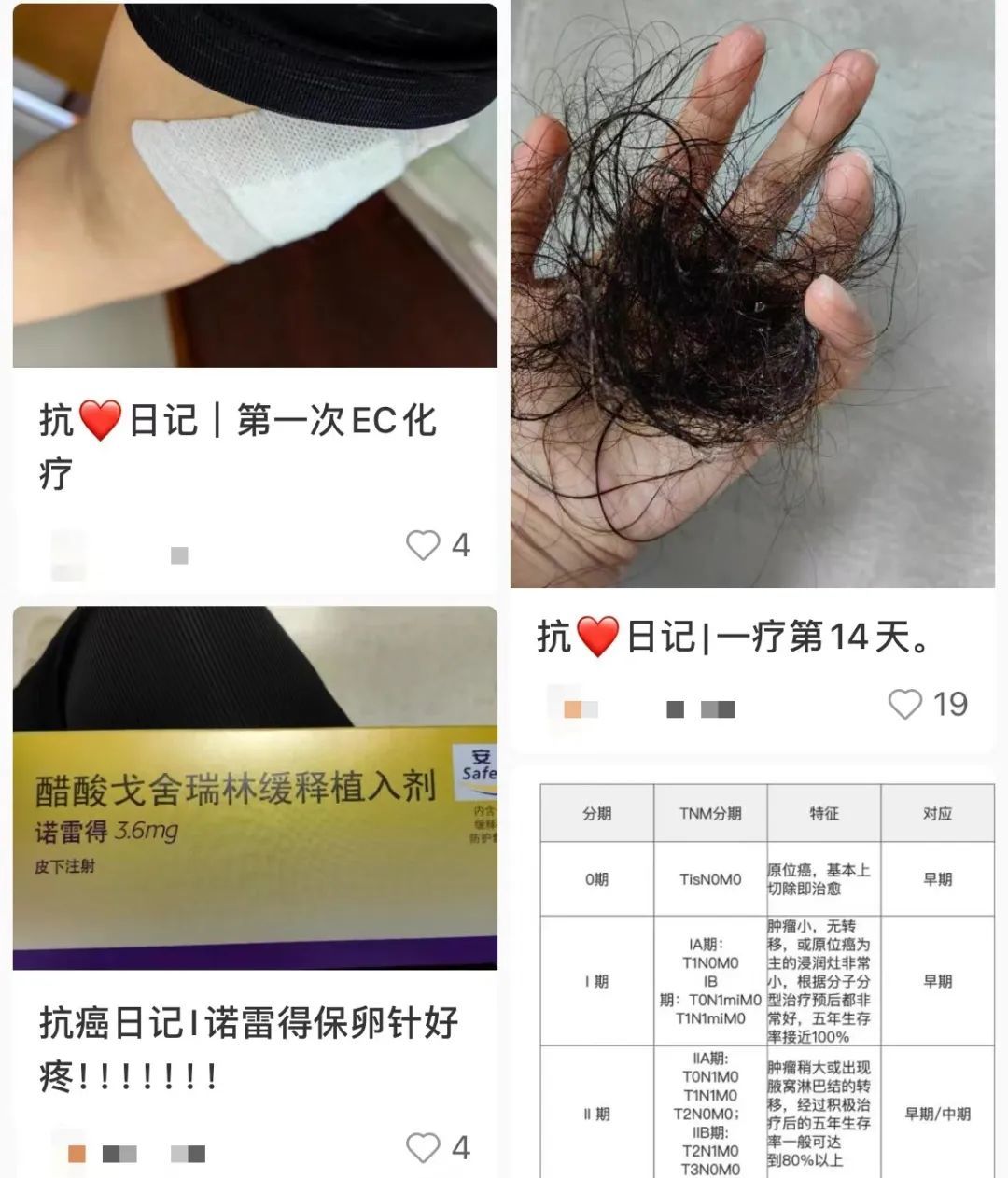 主页中关于抗癌的记录。（图/小红书截图）