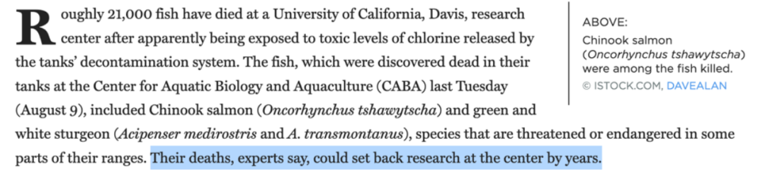 噩梦!设备发生故障,2万多条珍稀实验鱼惨遭团灭,一群研究生数年白干