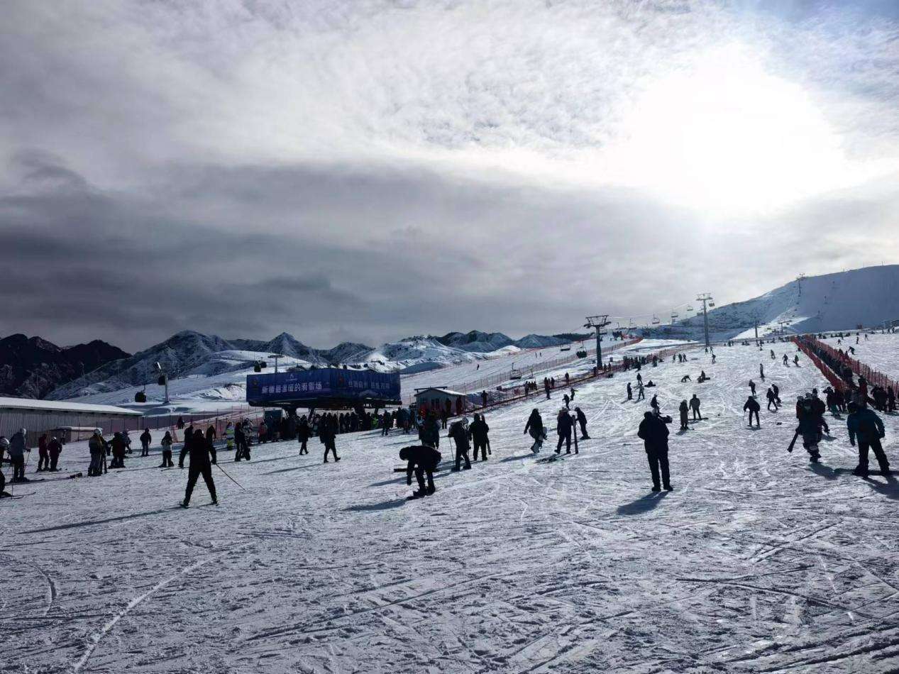 3d5991c9770a373928d0e284d8c328f