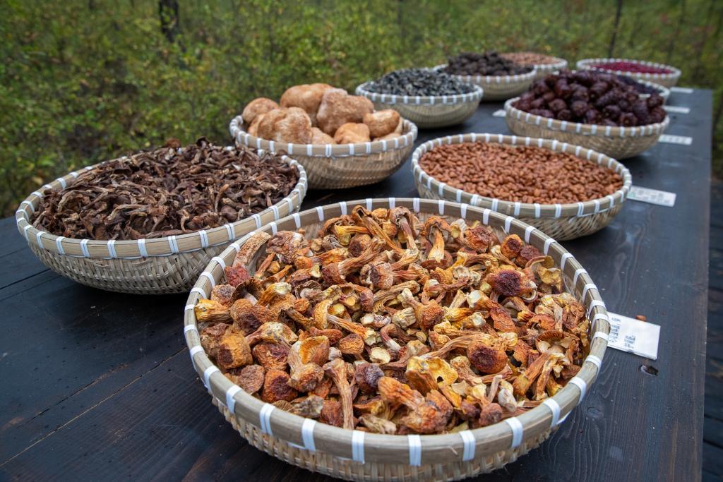 近日,漠河市北极村一景区展示的林下产品。新华社记者 张涛 摄