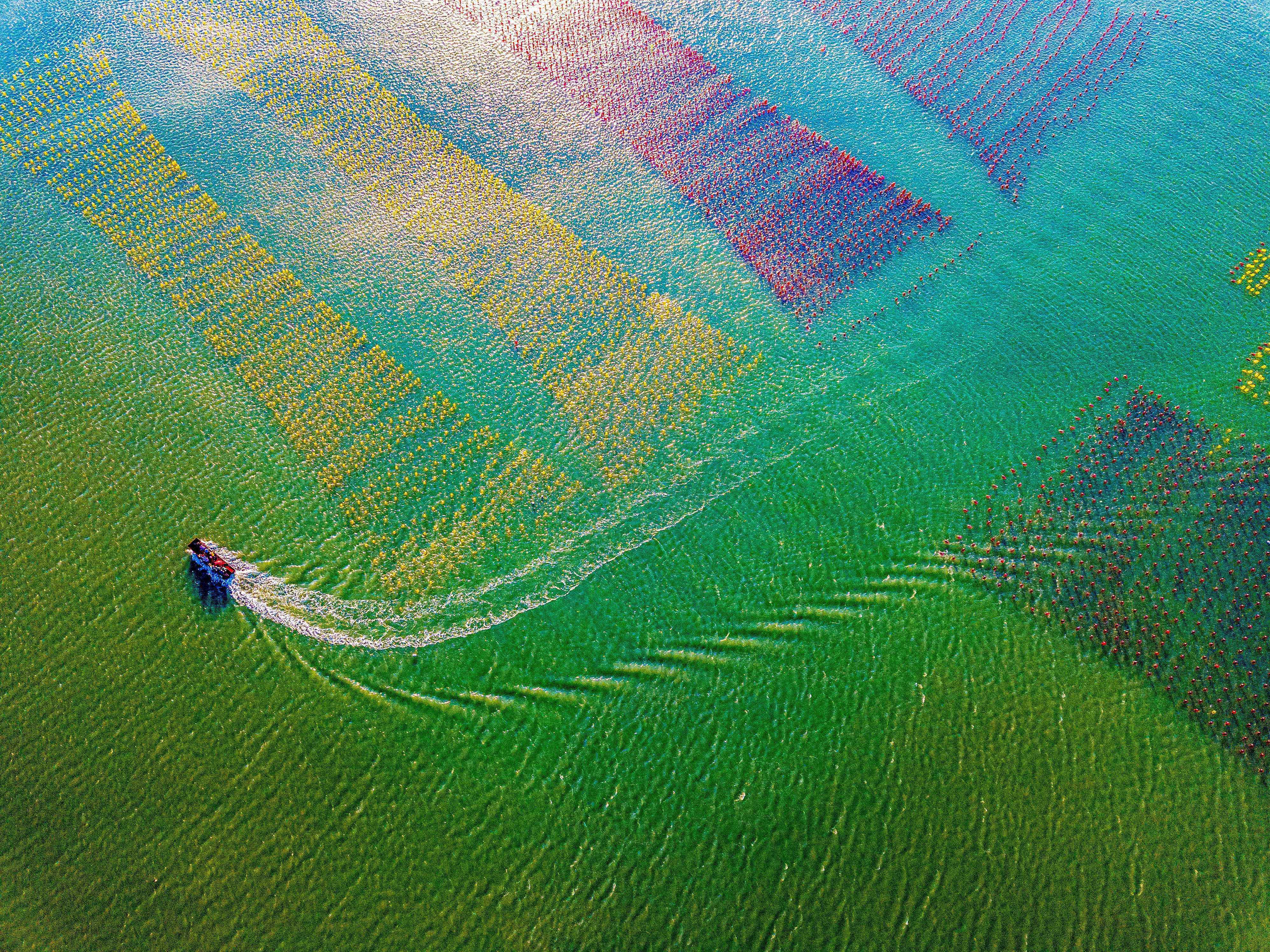 南澳县深澳镇走马埔村,海面上大片彩色生态浮球方阵宛若彩虹。 柯晓摄