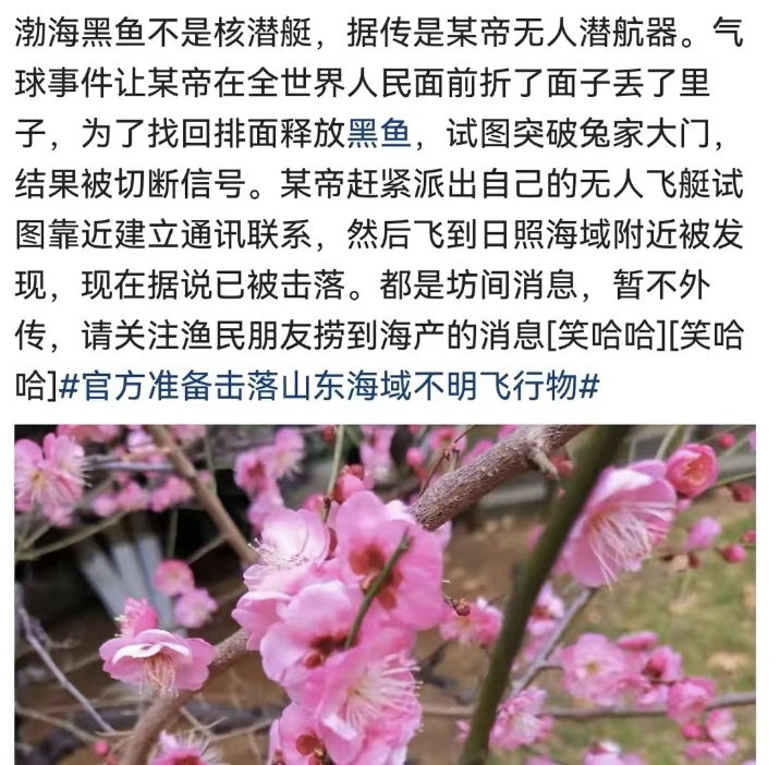 ▲某网络大V的发言