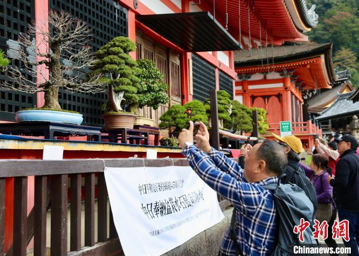 11月24日，纪念中日和平友好条约缔结45周年盆栽展览活动在日本京都清水寺举办。中新社记者 朱晨曦 摄
