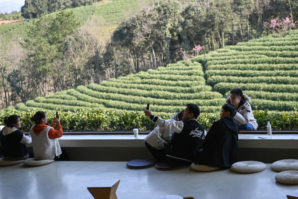 游客在浙江省安吉县黄杜村万亩茶园边的咖啡馆留影(2月21日摄)。新华社记者 黄宗治 摄