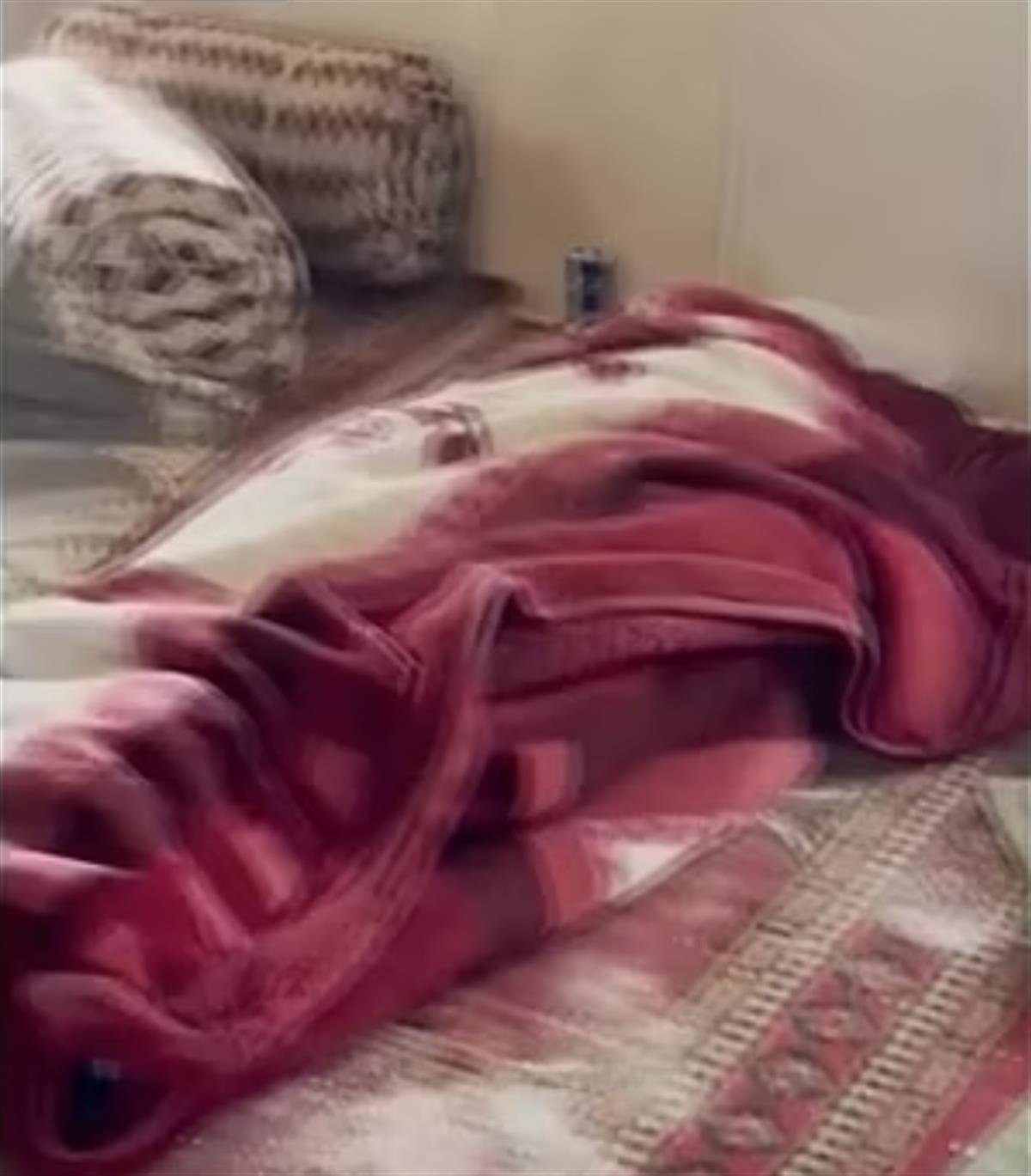 毛毯包裹的尸体(图片来源:视频截图)