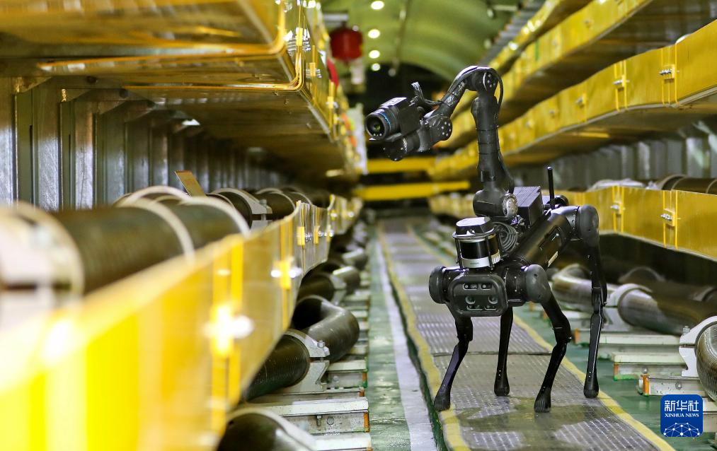 12月23日，“机器狗”四足巡检机器人在北京市丰台区玉泉营电缆隧道内开展寒潮天气地下输电线路巡检。新华社图片