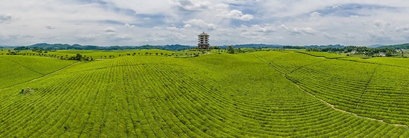 湄潭茶山图片