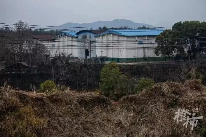 每年数万中学生因抑郁症自杀,这才是胡鑫宇案背后的真问题