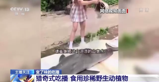 “提子”视频中的鲨鱼确是噬人鲨（也称大白鲨）。新闻截图
