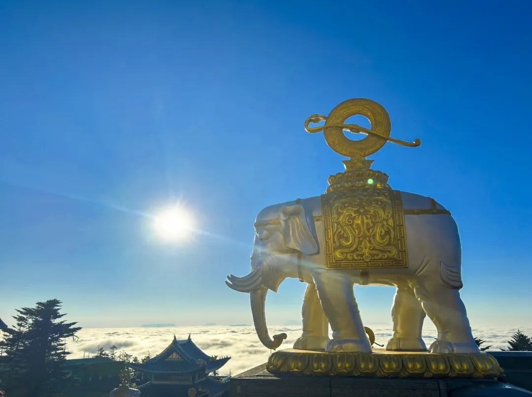 厦门云游寺院摄影展 | 峨眉山金顶四季,22张美图直通仙境